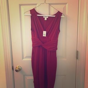 NWT Loft petite dress